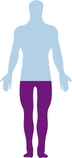 body parts